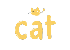 How to Feed a Cat- A Guide for Pet Owners